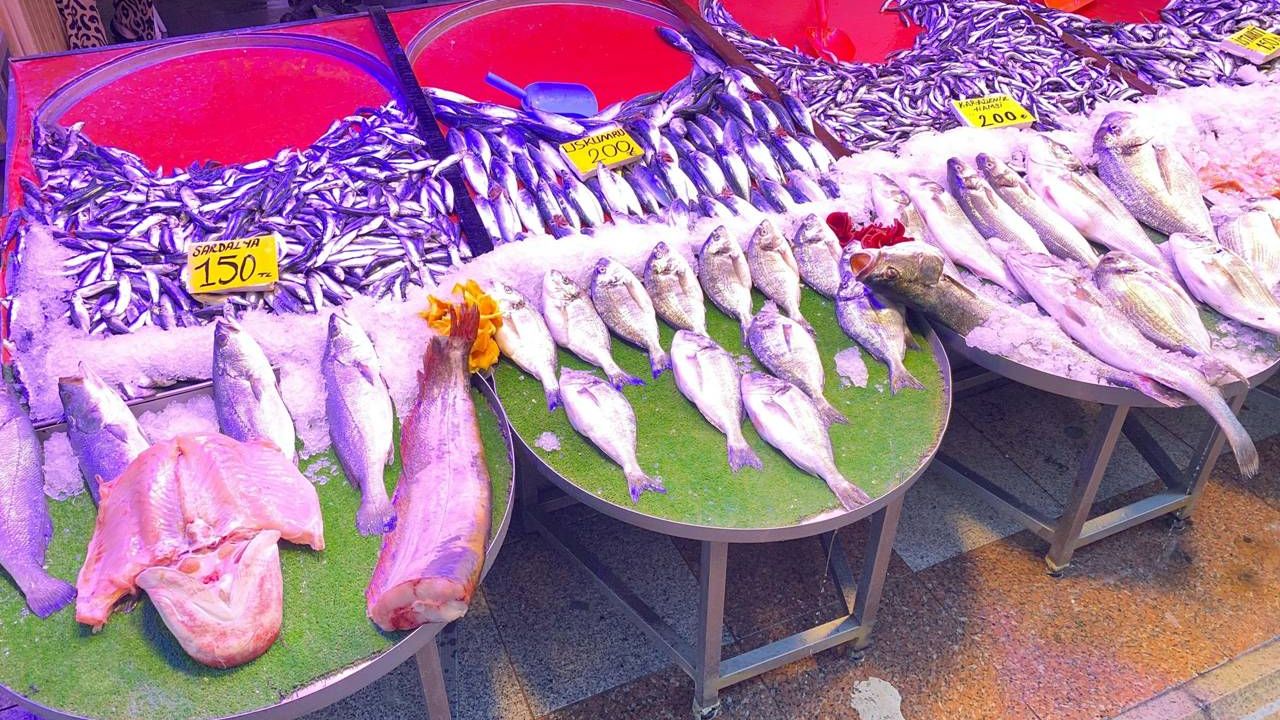 Balık sezonu bereketli başladı