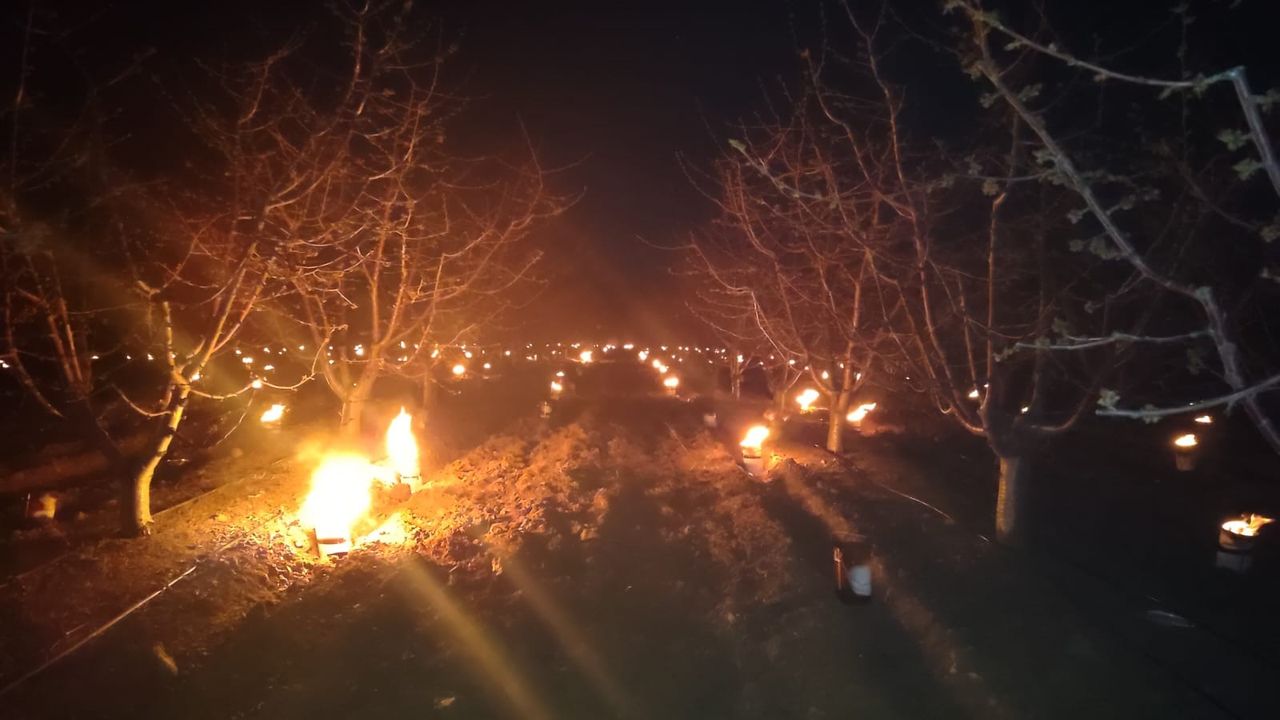 Eskişehirli çiftçilere don desteği geliyor