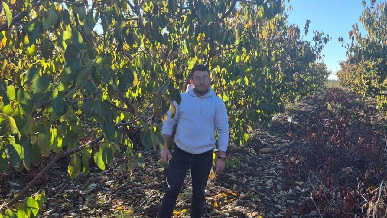 Zirai dondan etkilenen kiraz üreticisinden devlete destek teşekkürü