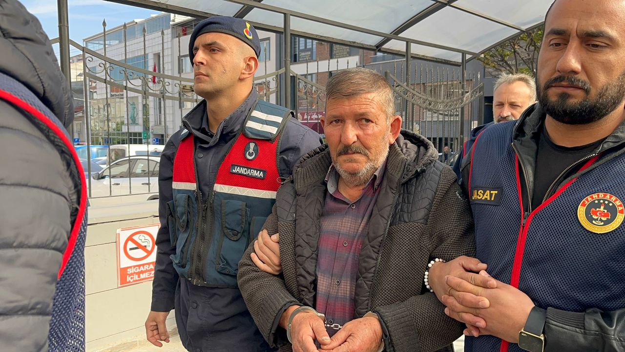 Kardeş katili adliyede