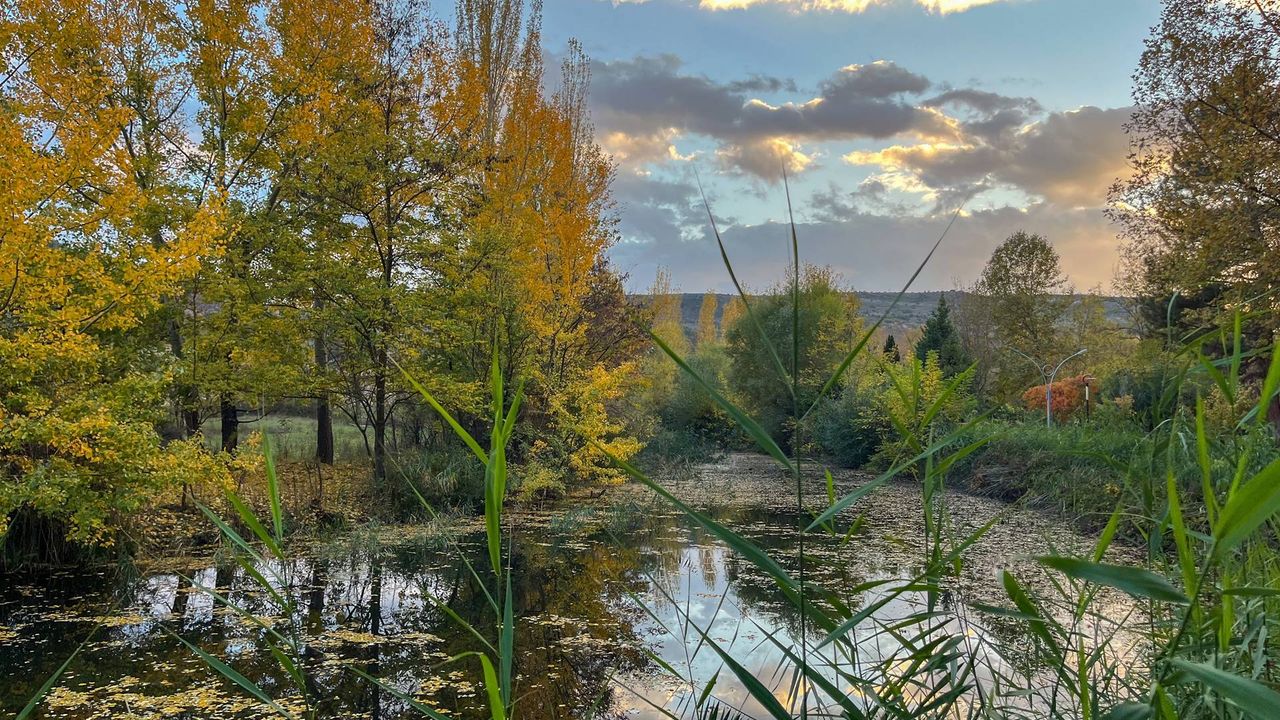 Sonbahar renkleri Eskişehir'i süsledi