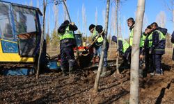 Eskişehir'de 2025 yılında 1 milyon fidan toprakla buluşturuldu
