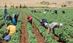 Eskişehir'deki çiftçilere tarım destekleri ödenmeye başlandı