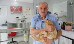 Mahkemeden hayvansever karar