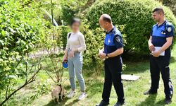Tertemiz Eskişehir denetimleri sürüyor