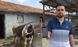 Kurbanlık alacaktı 200 bin TL dolandırıldı