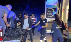 Pancar toplarken uçurumdan düştü: Hayatını kaybetti!