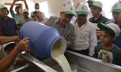 Tepebaşı’ndan süt üreticisine ve tüketiciye tam destek