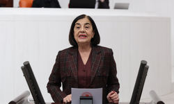 Jale Nur Süllü'den Bakanlığa sert eleştiri