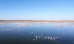 Başkan Ertürk'ten Kavuncu Göleti sorusu
