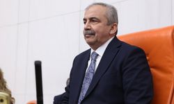 DEM Parti İstanbul Milletvekili Sırrı Süreyya Önder hayatını kaybetti