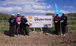 Kızılinler'de bal kabağı tohumu heyecanı