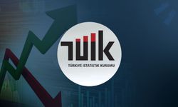 TÜİK personel alacak!