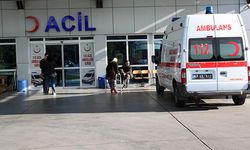 Acemi kasaplar hastaneleri doldurdu: Bayram bilançosu ağır!