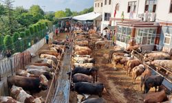 Bayrama günler kala kurban pazarlığında uçurum büyüyor