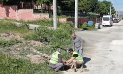 İnönü'de aydınlatma çalışmaları başladı: Mahalleler ışıldayacak