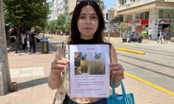 Bayramda kayıp kedi seferberliği: “Badem’i gören var mı?”