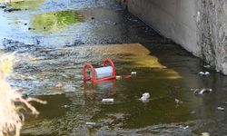 Bozüyük’te şehir magandalarından çirkin saldırı
