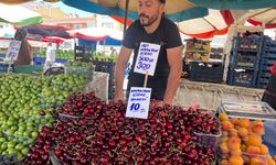 "‘Taneyle Kiraz’ etiketi tartışma yarattı