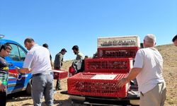 Eskişehir'de doğal denge için 500 keklik doğaya salındı
