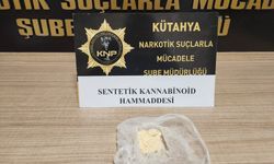 Bonzai hammaddesiyle yakalanan şüpheli tutuklandı