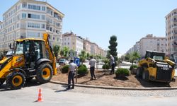 Kuru peyzajla su tasarrufu ve estetik bir arada