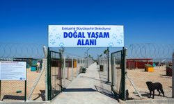 Eskişehir'de Hayvan Bakımevi ve Doğal Yaşam Alanı açıldı