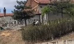 Şok görüntüler hakkında yeni gelişme!