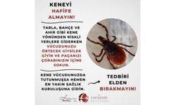 Eskişehir Valiliği'nden kene uyarısı