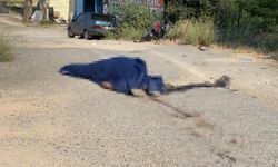 Eskişehir'de feci kaza! Motosiklet sürücüsü hayatını kaybetti!