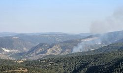 Bilecik-Eskişehir yolunda çıkan orman yangını kontrol altına alındı
