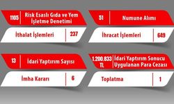 Eskişehir'de gıda denetimlerinde ceza yağdı!