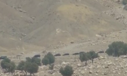 İlk PKK'lı grup silah bıraktı