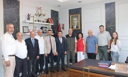 Seyitgazi'de yanan ormanlık alanlara ağaçlandırma yapılacak!
