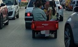 3 teker üstünde 7 hayat