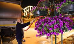 Gece boyunca çalışma: Eskişehir’in yeşili can buluyor