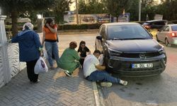Kaputun altında kalan kedi için seferber oldular!