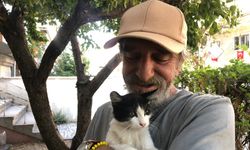 30 yıldır sokak kedilerine kapısını açıyor