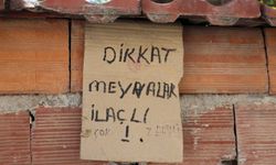 Elma ağacının altındaki şaşırtan uyarı: "Çok zehirli"
