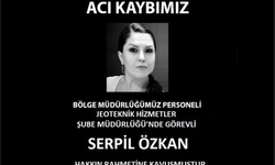 DSİ Mühendisi Serpil Özkan hayatını kaybetti