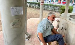 Camide unutulan dişlerin sahibi her yerde aranıyor