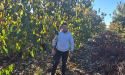 Zirai dondan etkilenen kiraz üreticisinden devlete destek teşekkürü