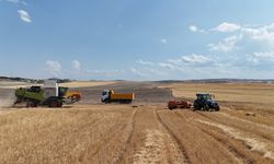 Eskişehir’de tarımın yol haritası tartışılacak