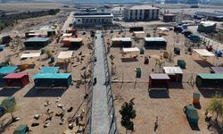 Hayvan Bakımevi ve Doğal Yaşam alanı yükseliyor