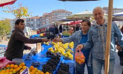 Mandalinanın fiyatı geçen seneye göre yüzde 30 düştü