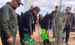 Milli Ağaçlandırma Günü'nde 20 bin fidan dikildi