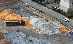 Güvercinler için adeta açık büfe