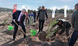 TEI'den 17 bin fidanlık 40. Yıl Hatıra Ormanı