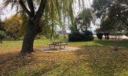 Dökülen yapraklar kartpostallık görüntüler oluşturdu