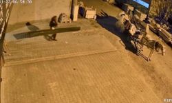 35 bin TL değerindeki eşyaları çalan şüpheliler aynı gün içinde yakalandı